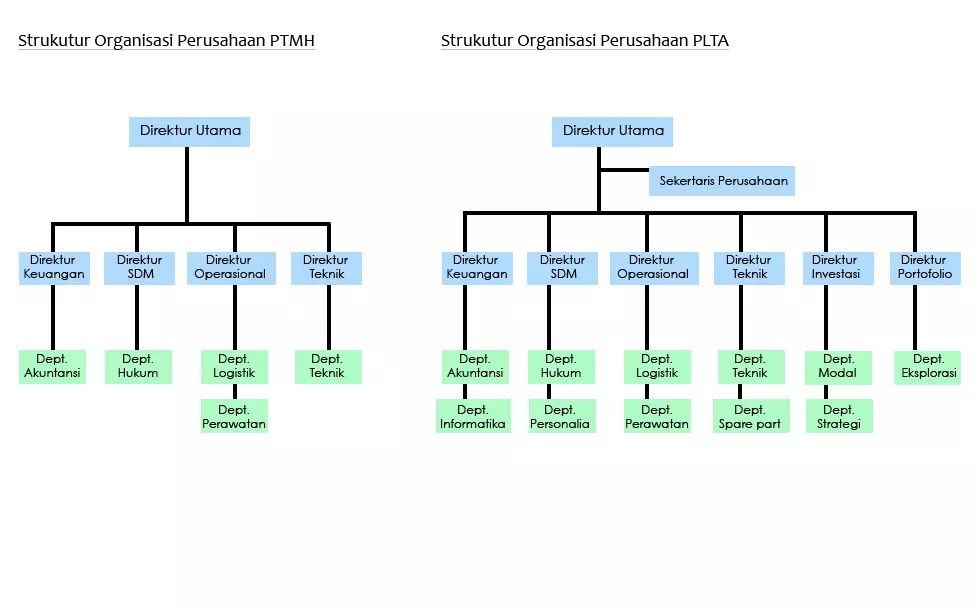 Company Holding Structure