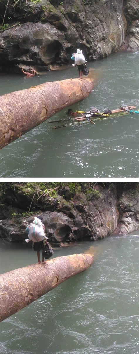 Corporate responsibility for the environment