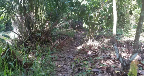Condition of the road to the MHPP location
