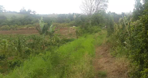 Condition of the road to the MHPP location